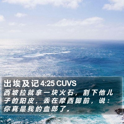 出 埃 及 记 4:25 CUVS Bible Verse Image