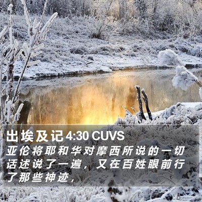 出 埃 及 记 4:30 CUVS Bible Verse Image