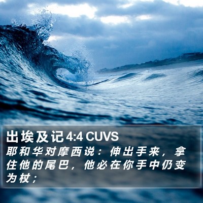 出 埃 及 记 4:4 CUVS Bible Verse Image