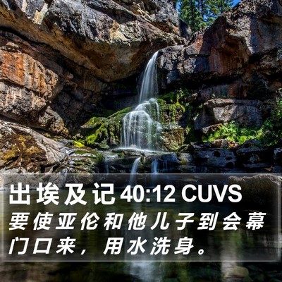 出 埃 及 记 40:12 CUVS Bible Verse Image