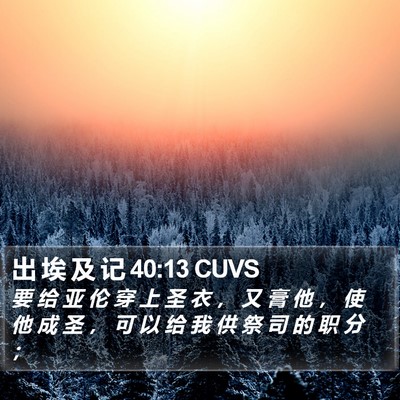 出 埃 及 记 40:13 CUVS Bible Verse Image