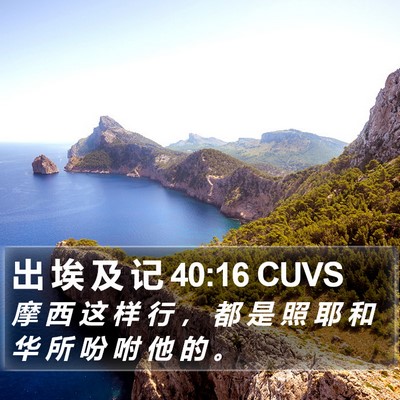 出 埃 及 记 40:16 CUVS Bible Verse Image