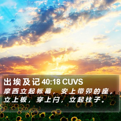 出 埃 及 记 40:18 CUVS Bible Verse Image
