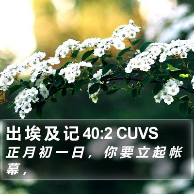 出 埃 及 记 40:2 CUVS Bible Verse Image