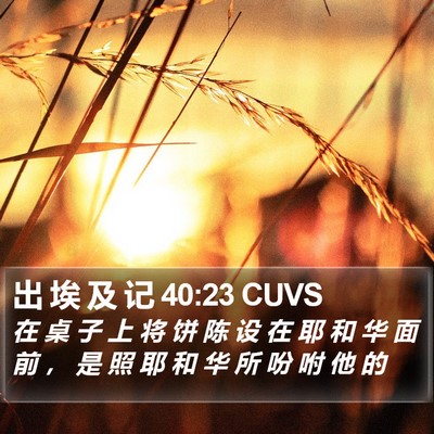 出 埃 及 记 40:23 CUVS Bible Verse Image
