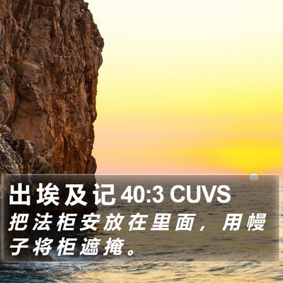 出 埃 及 记 40:3 CUVS Bible Verse Image