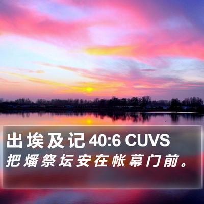 出 埃 及 记 40:6 CUVS Bible Verse Image
