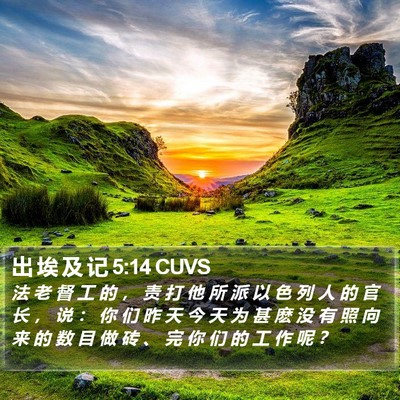 出 埃 及 记 5:14 CUVS Bible Verse Image