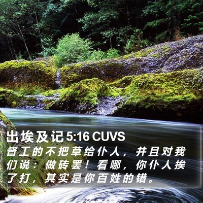 出 埃 及 记 5:16 CUVS Bible Verse Image