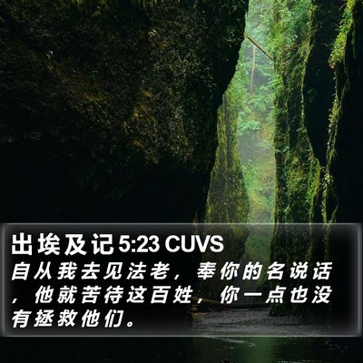出 埃 及 记 5:23 CUVS Bible Verse Image