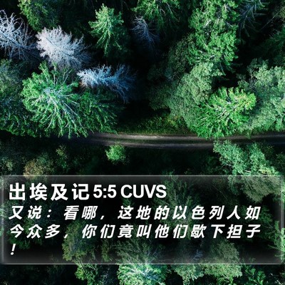 出 埃 及 记 5:5 CUVS Bible Verse Image