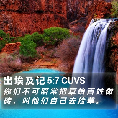 出 埃 及 记 5:7 CUVS Bible Verse Image