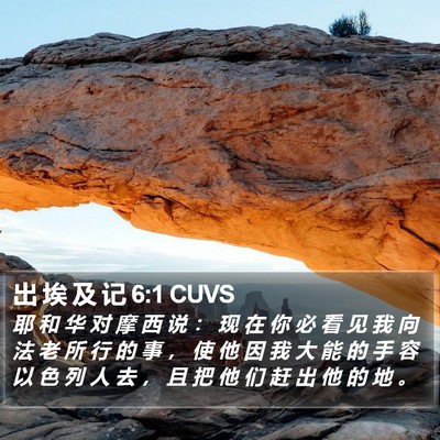 出 埃 及 记 6:1 CUVS Bible Verse Image