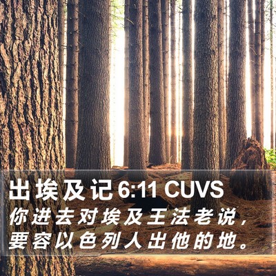 出 埃 及 记 6:11 CUVS Bible Verse Image
