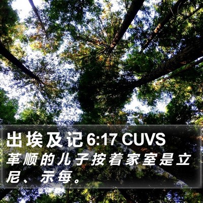 出 埃 及 记 6:17 CUVS Bible Verse Image