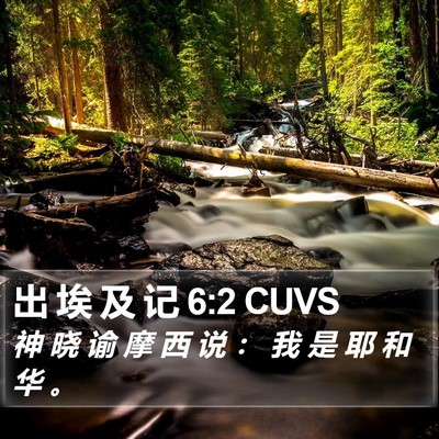 出 埃 及 记 6:2 CUVS Bible Verse Image