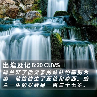 出 埃 及 记 6:20 CUVS Bible Verse Image