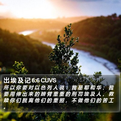 出 埃 及 记 6:6 CUVS Bible Verse Image