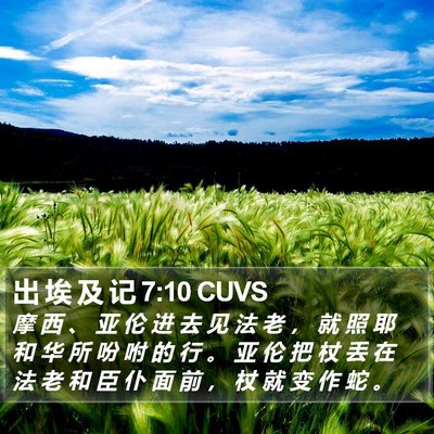 出 埃 及 记 7:10 CUVS Bible Verse Image