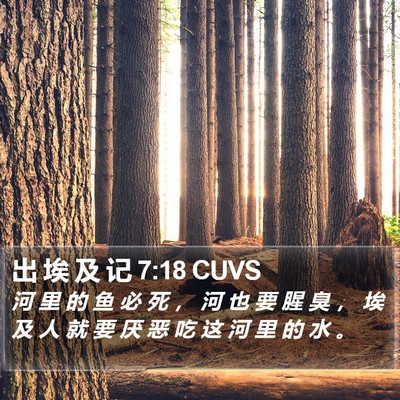 出 埃 及 记 7:18 CUVS Bible Verse Image
