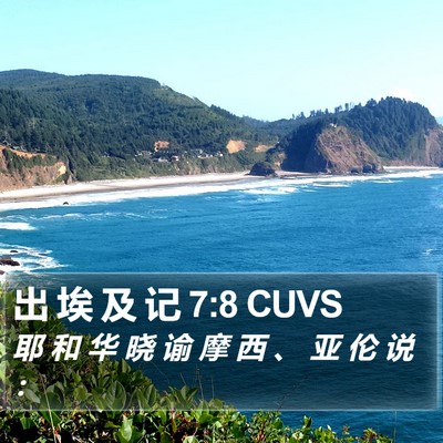 出 埃 及 记 7:8 CUVS Bible Verse Image