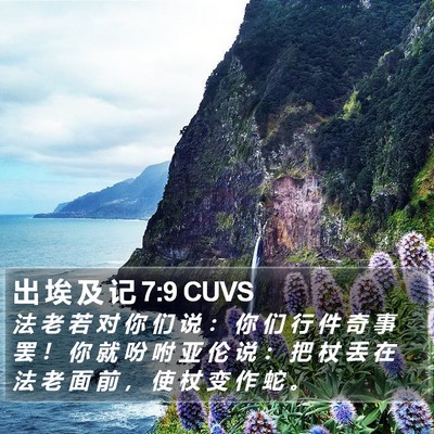 出 埃 及 记 7:9 CUVS Bible Verse Image