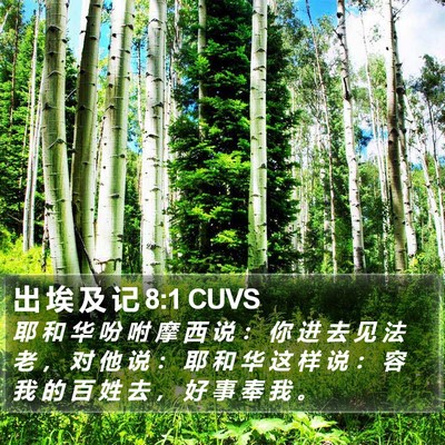 出 埃 及 记 8:1 CUVS Bible Verse Image
