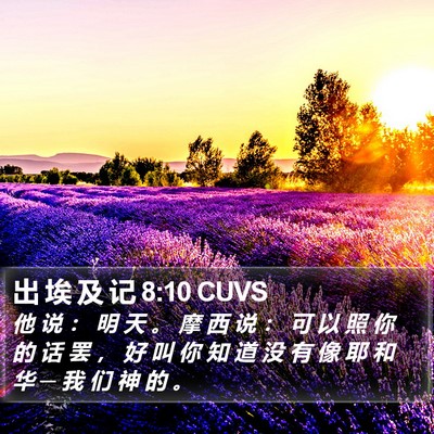 出 埃 及 记 8:10 CUVS Bible Verse Image