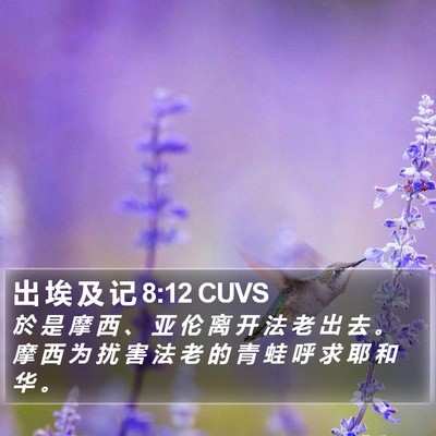 出 埃 及 记 8:12 CUVS Bible Verse Image