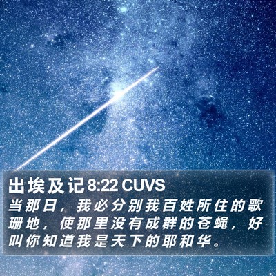 出 埃 及 记 8:22 CUVS Bible Verse Image