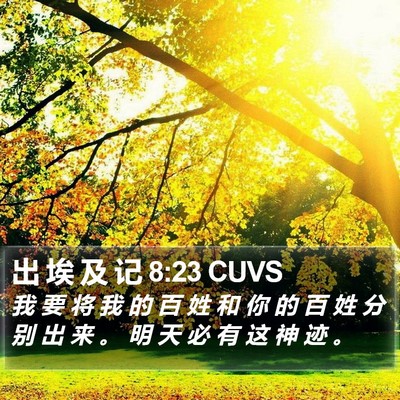 出 埃 及 记 8:23 CUVS Bible Verse Image