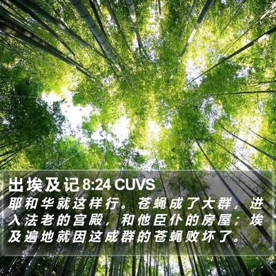 出 埃 及 记 8:24 CUVS Bible Verse Image