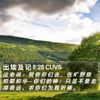 出 埃 及 记 8:28 CUVS Bible Verse Image