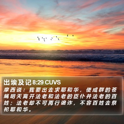 出 埃 及 记 8:29 CUVS Bible Verse Image