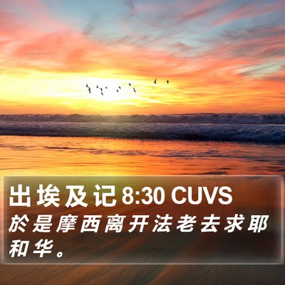 出 埃 及 记 8:30 CUVS Bible Verse Image
