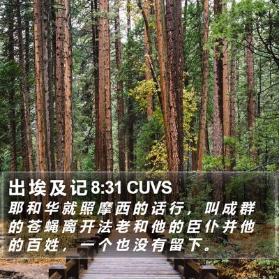 出 埃 及 记 8:31 CUVS Bible Verse Image