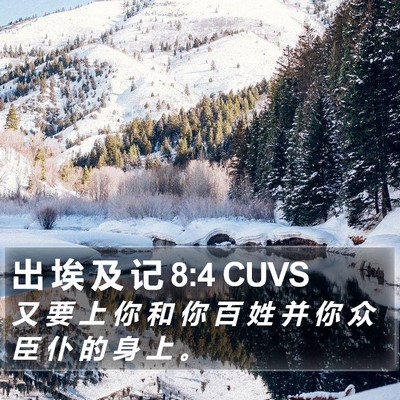 出 埃 及 记 8:4 CUVS Bible Verse Image