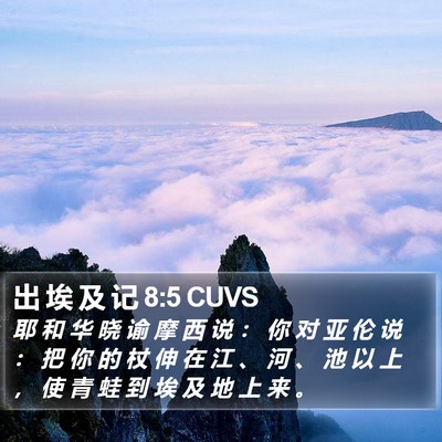 出 埃 及 记 8:5 CUVS Bible Verse Image