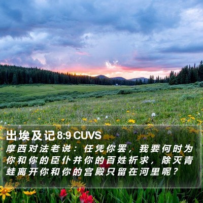 出 埃 及 记 8:9 CUVS Bible Verse Image