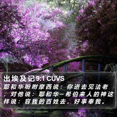 出 埃 及 记 9:1 CUVS Bible Verse Image