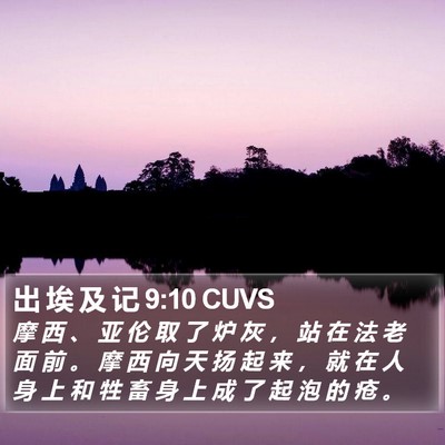 出 埃 及 记 9:10 CUVS Bible Verse Image