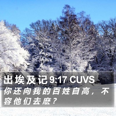 出 埃 及 记 9:17 CUVS Bible Verse Image