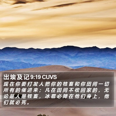 出 埃 及 记 9:19 CUVS Bible Verse Image