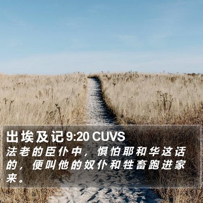 出 埃 及 记 9:20 CUVS Bible Verse Image