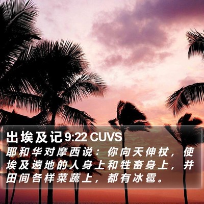 出 埃 及 记 9:22 CUVS Bible Verse Image