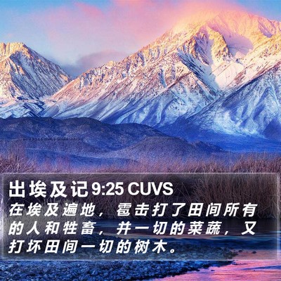 出 埃 及 记 9:25 CUVS Bible Verse Image