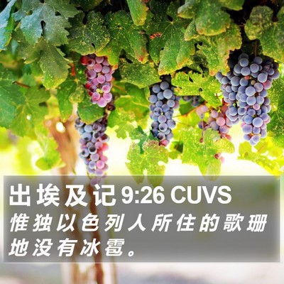 出 埃 及 记 9:26 CUVS Bible Verse Image
