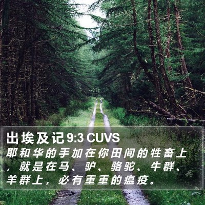 出 埃 及 记 9:3 CUVS Bible Verse Image