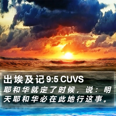 出 埃 及 记 9:5 CUVS Bible Verse Image