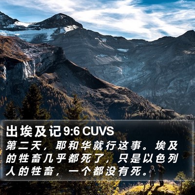 出 埃 及 记 9:6 CUVS Bible Verse Image